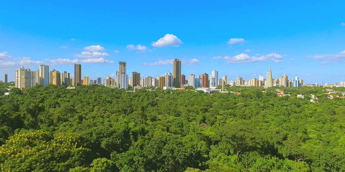 Presença feminina aumenta no mercado imobiliário