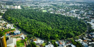 Prazo para solicitar IPTU Verde em Maringá segue até 30 de julho