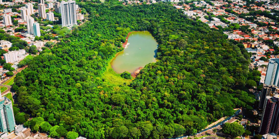 Prazo para solicitar IPTU Verde em Maringá termina neste sábado (30)