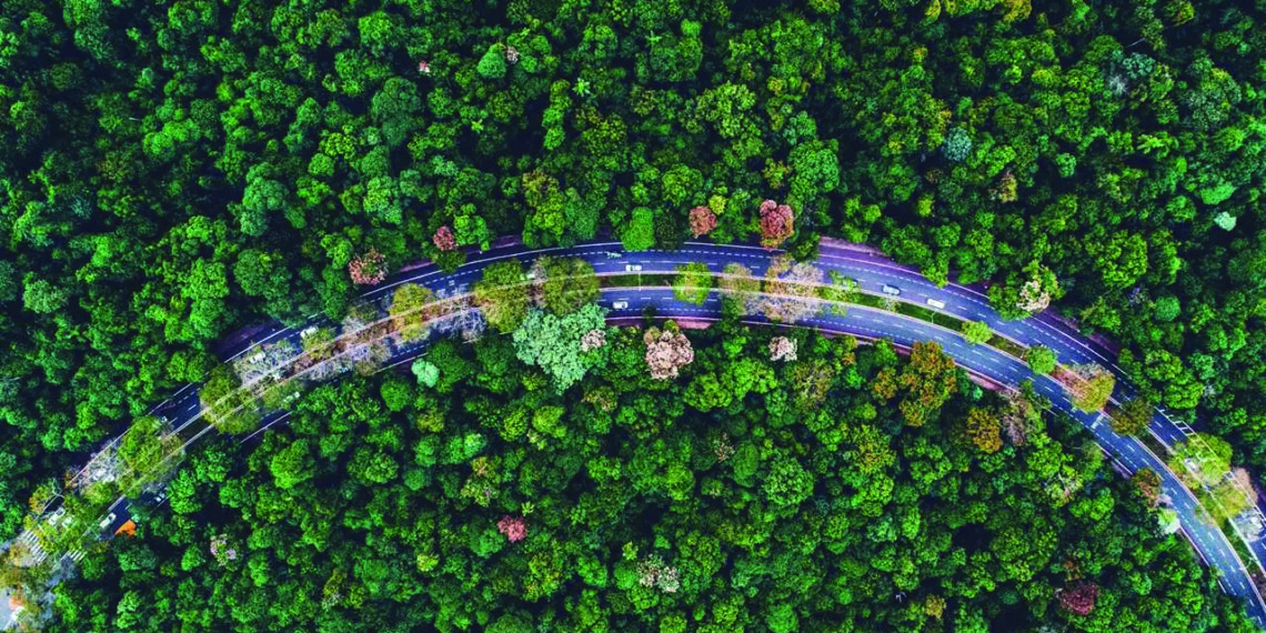 Prêmio reconhece Maringá como ′Cidade Árvore do Mundo′