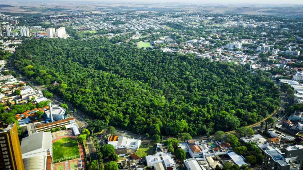 IPTU Verde para 2025 pode ser solicitado até 30 de junho; veja quem pode ser beneficiado