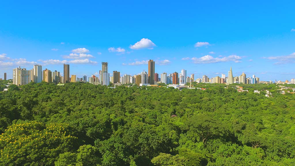 Mercado imobiliário aposta em lançamentos e colhe bons resultados no início de 2025