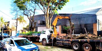 Guarda Civil de Maringá prende homens por crime ambiental; multa pode chegar a R$ 30 mil
