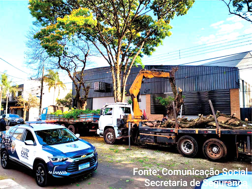 Guarda Civil de Maringá prende homens por crime ambiental; multa pode chegar a R$ 30 mil