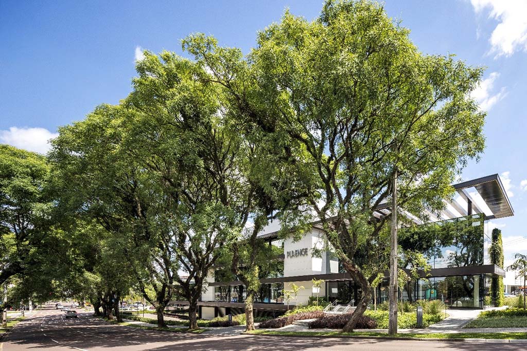 Resultados de 2025 reforçam solidez e consistência da Plaenge 3 Resultados de 2025 reforçam solidez e consistência da Plaenge