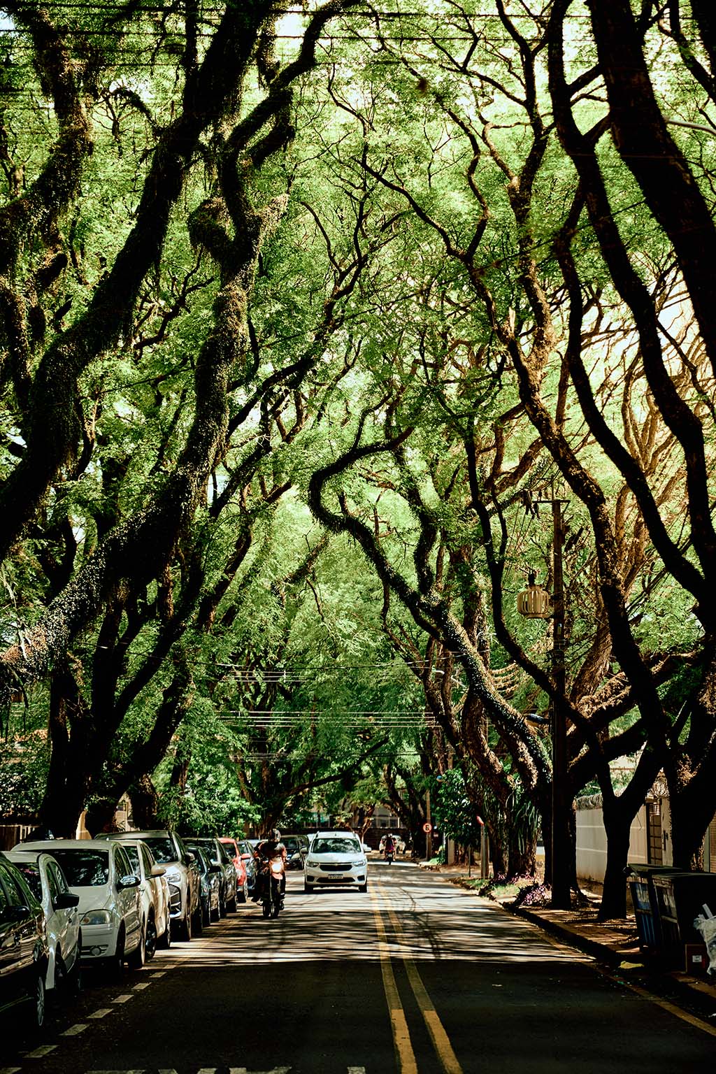 Na Zona 07 de Maringá, Plaenge prepara a entrega do Square 5 Na Zona 07 de Maringá, Plaenge prepara a entrega do Square