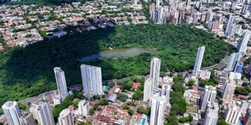 Programa que prevê pagamento de recompensa por denúncias começa a valer em Maringá