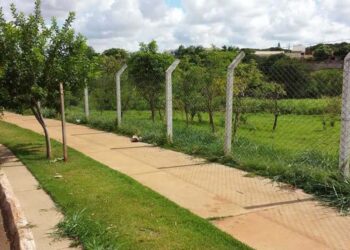 Câmara de Maringá vota projeto que altera regras para construção em áreas de fundo de vale