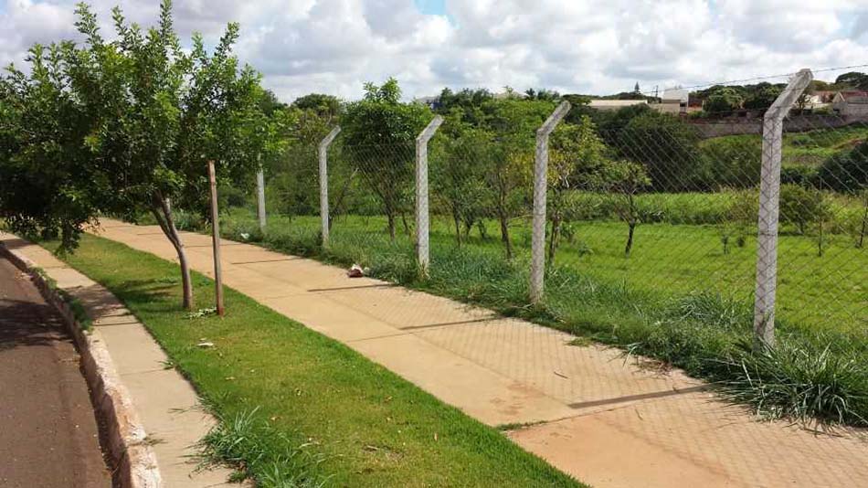 Câmara de Maringá vota projeto que altera regras para construção em áreas de fundo de vale