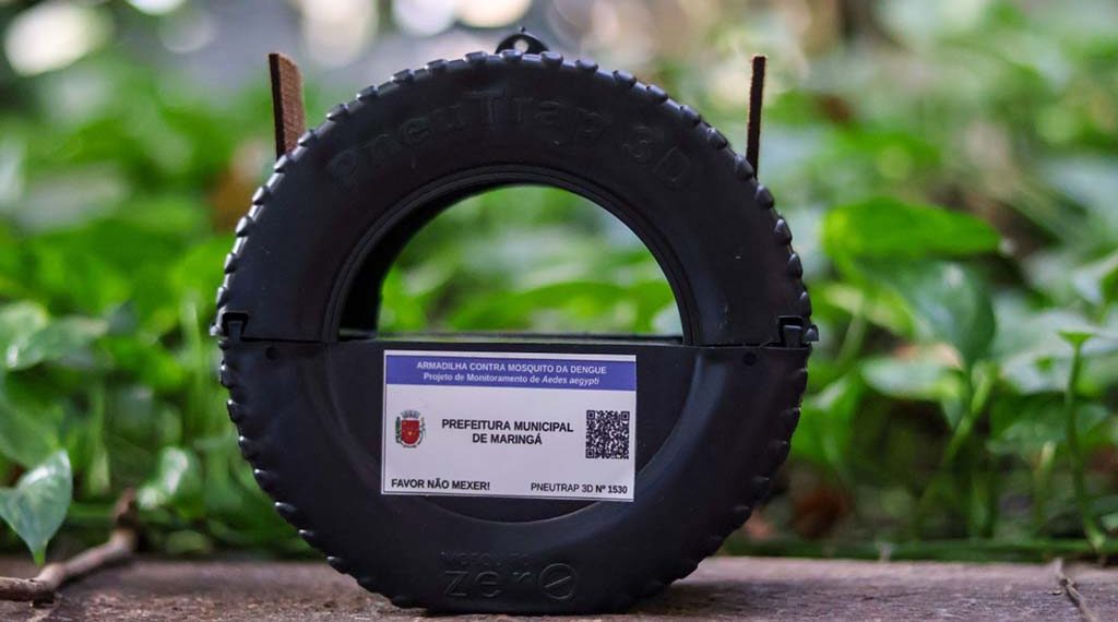 Pneutrap: nova tecnologia no combate à dengue é instalada pela saúde de Maringá