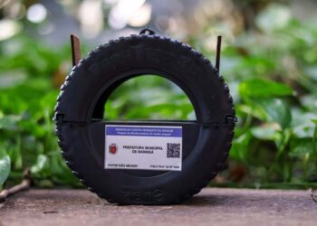 Pneutrap: nova tecnologia no combate à dengue é instalada pela saúde de Maringá