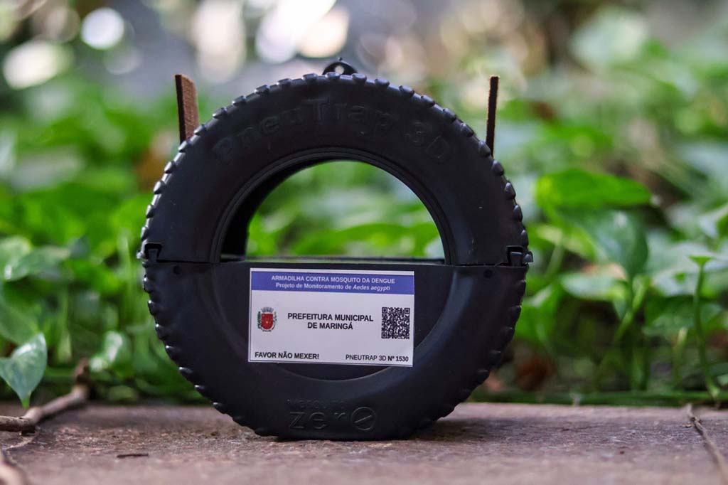 Pneutrap: nova tecnologia no combate à dengue é instalada pela saúde de Maringá